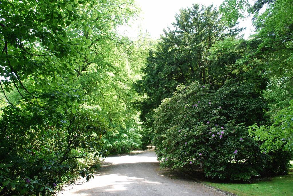 Отель Wildenburger Hof Friesenhagen Экстерьер фото